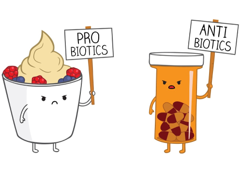 probióticos